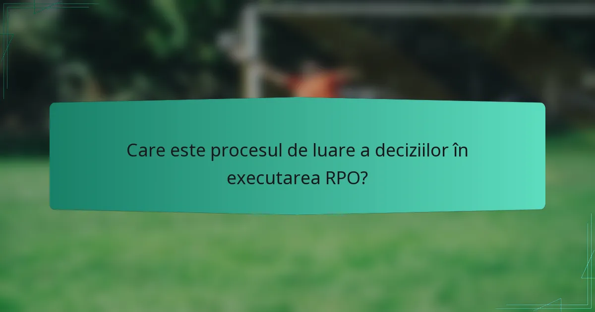 Care este procesul de luare a deciziilor în executarea RPO?