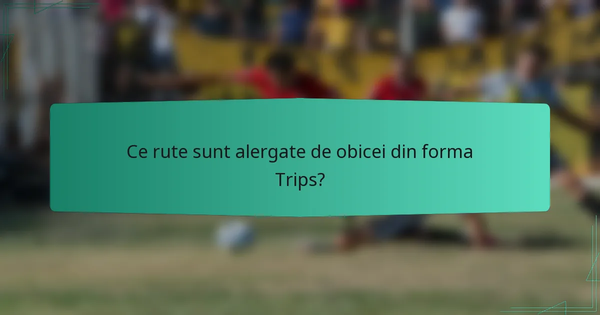 Ce rute sunt alergate de obicei din forma Trips?